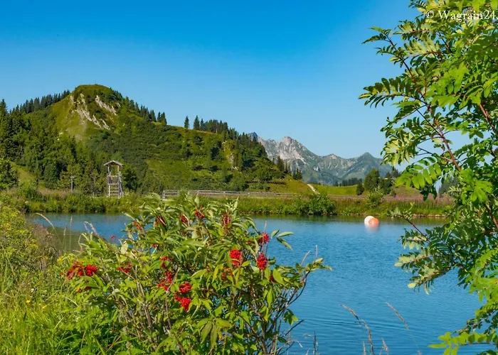 Lägenhet Aster Wagrain